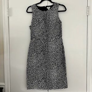 J. Crew size 6 pencil dress. NWOT Cotton w full lining. Navy with white dots.